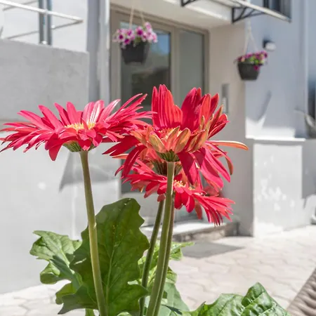 Nikisapartments Kalamata